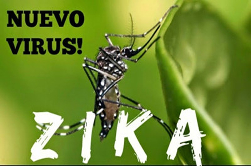 Y sĩ đa khoa công bố sự ra đời của vaccine chống Zika