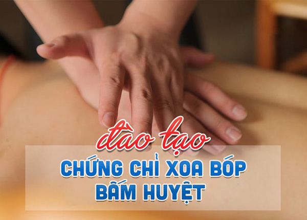 dao-tao-chung-chi-xoa-bop-bam-huyet-768x550