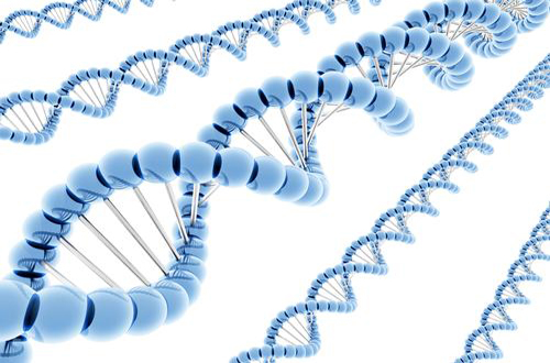 Y sĩ bật mí những điều chưa biết về gen người