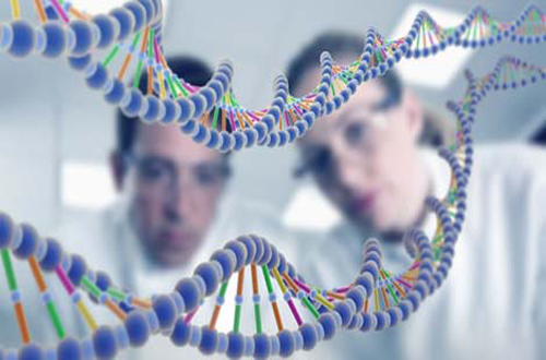 Y sĩ bật mí những điều chưa biết về gen người