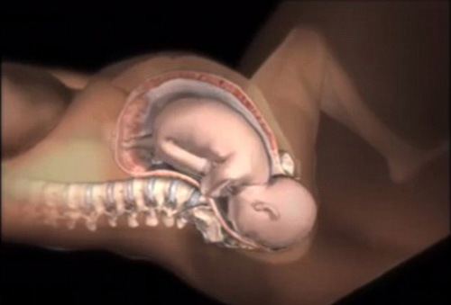 Nữ Hộ Sinh nói về sự thay đổi trong cơ thể người mẹ đang mang bầu